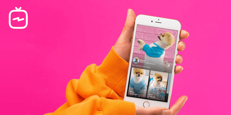 A Chave Para Vender No Instagram Sem Ter Que Gastar Um Único Centavo